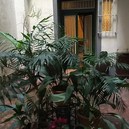 Mgpgroup Center Hot Spot *