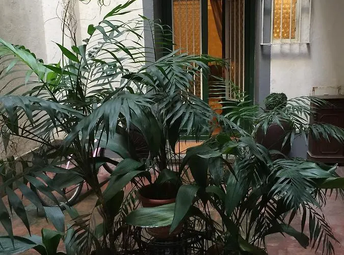 Mgpgroup Center Hot Spot *